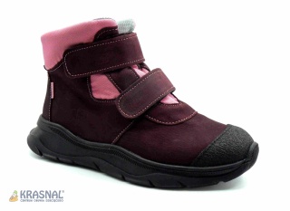 MAZUREK 1359 MD śliwka